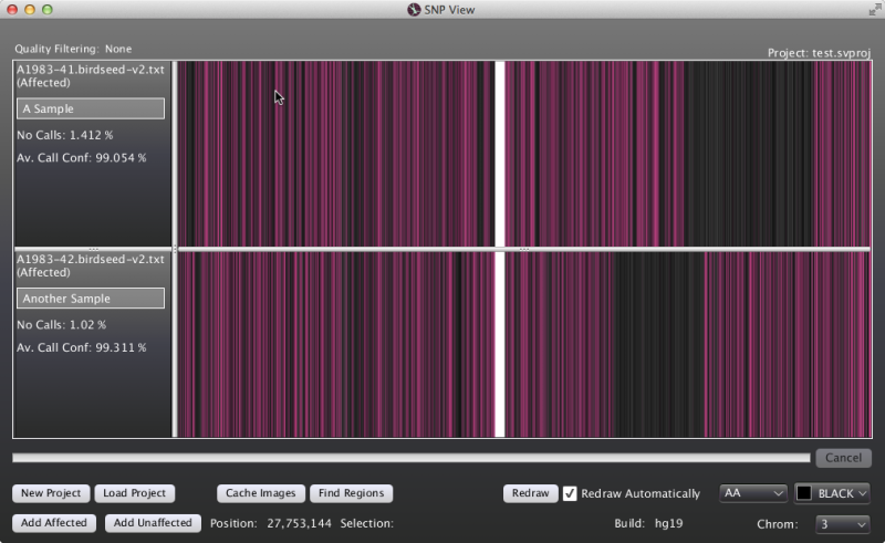 Snp Viewer showing two samples with overlapping regions of homozygosity